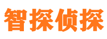 浦江侦探公司